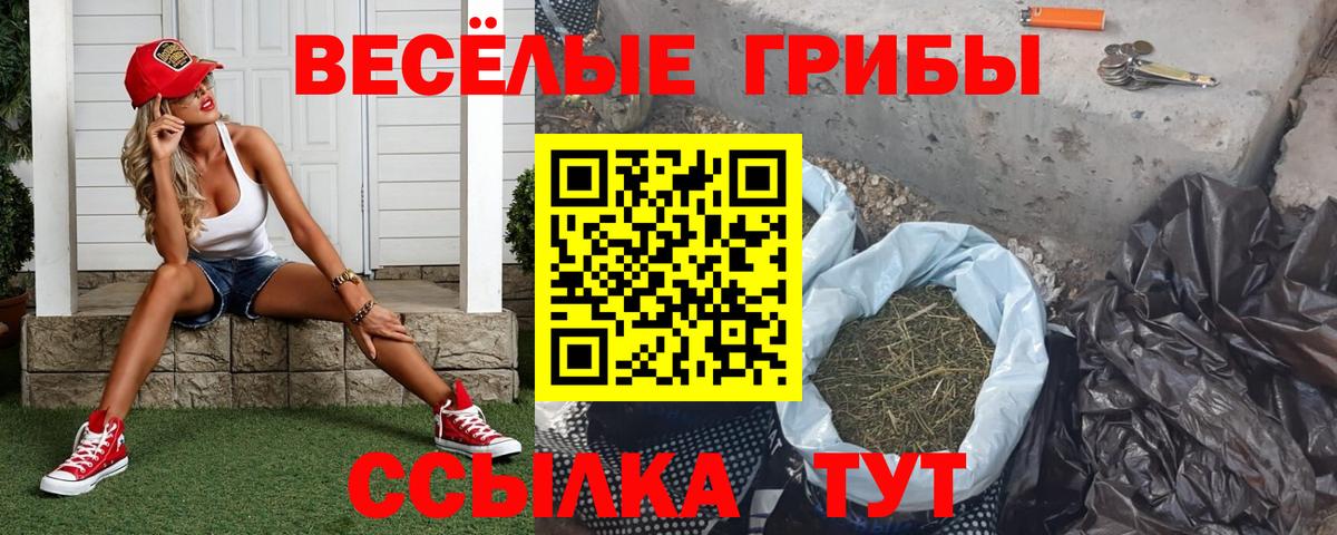Нижний Тагил  Псилоцибиновые грибы GOLDEN TEACHER  Вход с VPN 